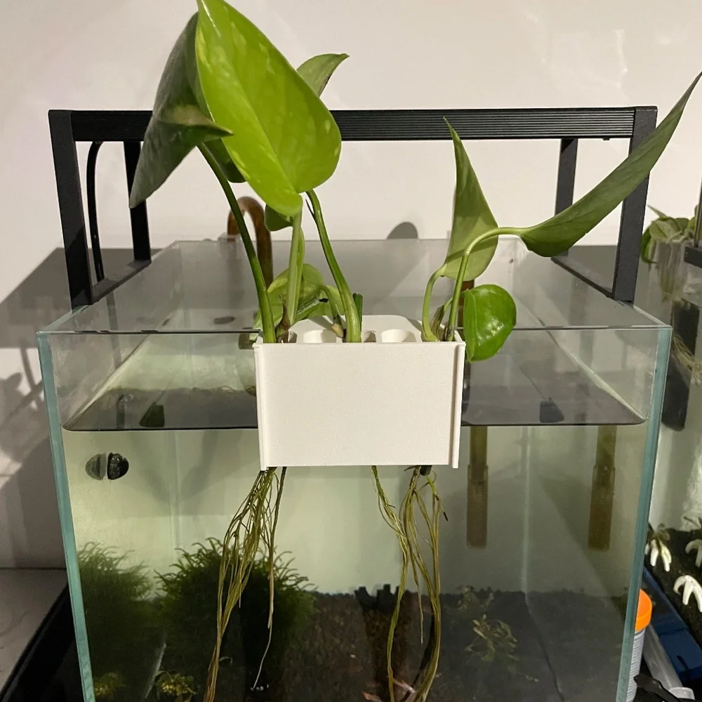 Aquarium Plant Holder with Sliding Front Cover - White